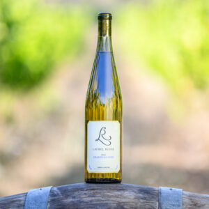 a bottle of Laurel Ridge Chasselas Doré sitting on a wine barrel in front of some vines in the Estate vineyard.