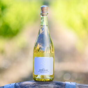 a bottle of Laurel Ridge Cuvée Blanc sparkling wine sitting on a wine barrel in front of some vines in the Estate vineyard.