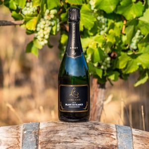 A bottle of Laurel Ridge sparkling wine sitting on a wine barrel in front of Chardonnay grape vines with ripe grapes