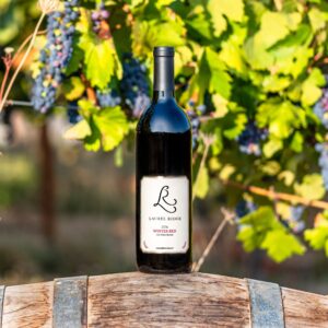 a bottle of Laurel Ridge winter red blend sitting on a wine barrel in front of some vines in the Estate vineyard.