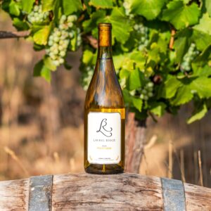 a bottle of Laurel Ridge Pinot Gris sitting on a wine barrel in front of some vines in the Estate vineyard.